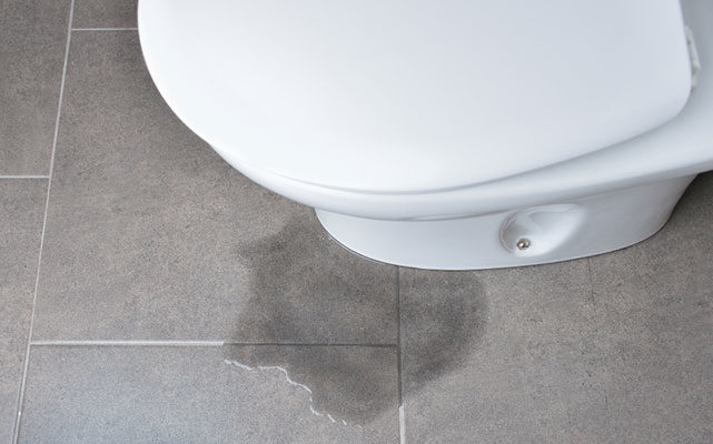 Leaking Toilets